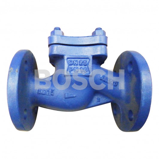 VALVE-NON-RETURN-DGF-DN-25-PN16
