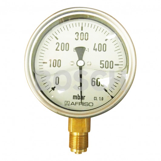 Manometr-D100-0-0-6-bar-G12