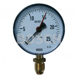 Manometr-D100-0-25-bar-G12