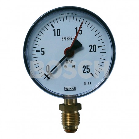 Manometr-D100-0-25-bar-G12